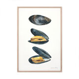 "Charlie, Alba & Simone", molds, art print 21/29.7 cm