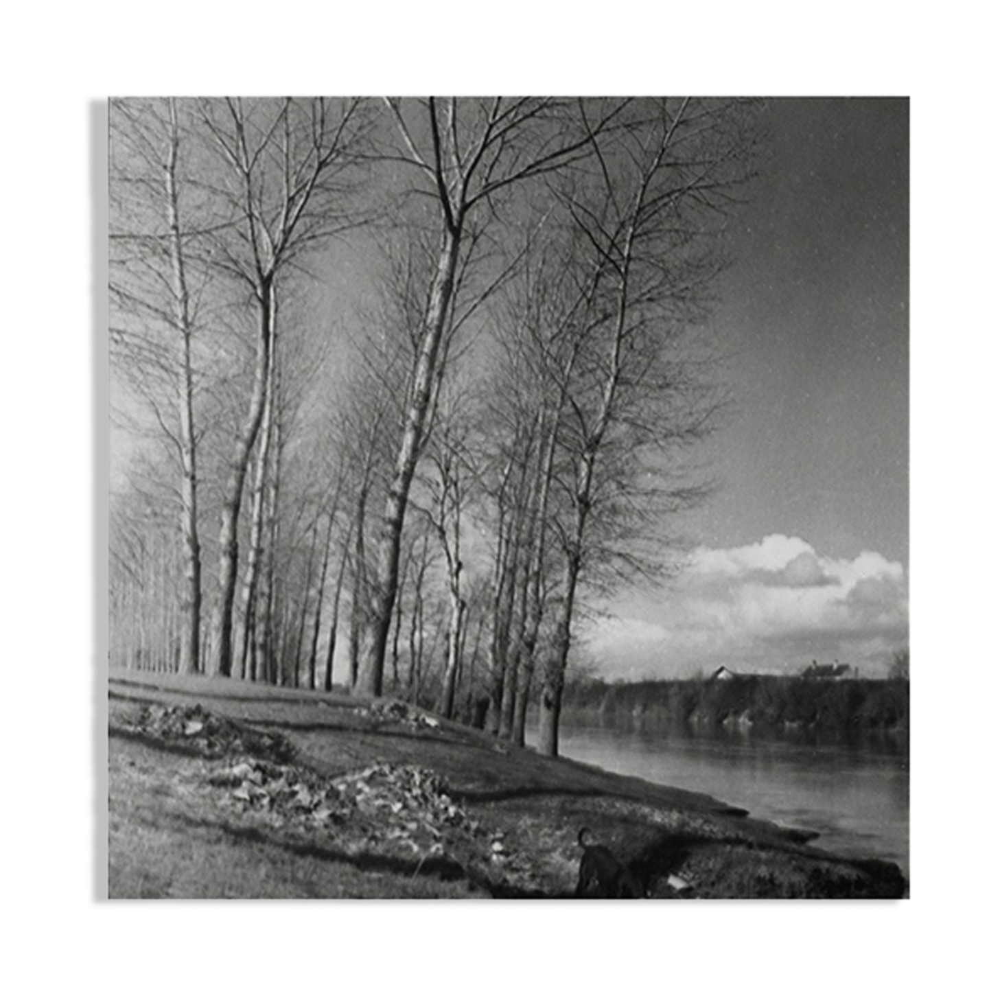 Winter landscape, riverside