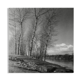 Winter landscape, riverside