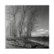 Winter landscape, riverside