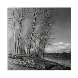 Paysage hivernal, bord de rivière