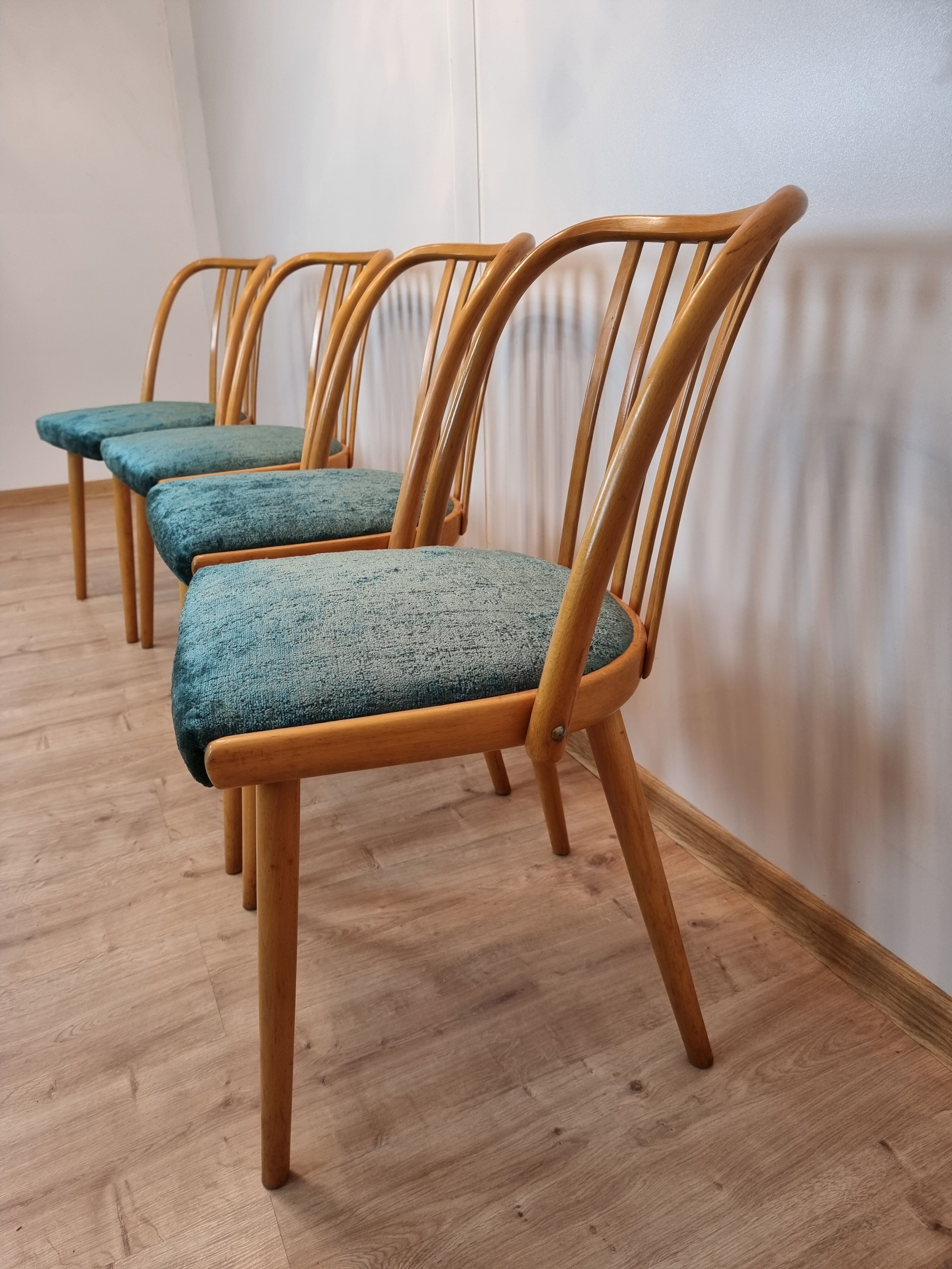 Antonin Suman dining chairs