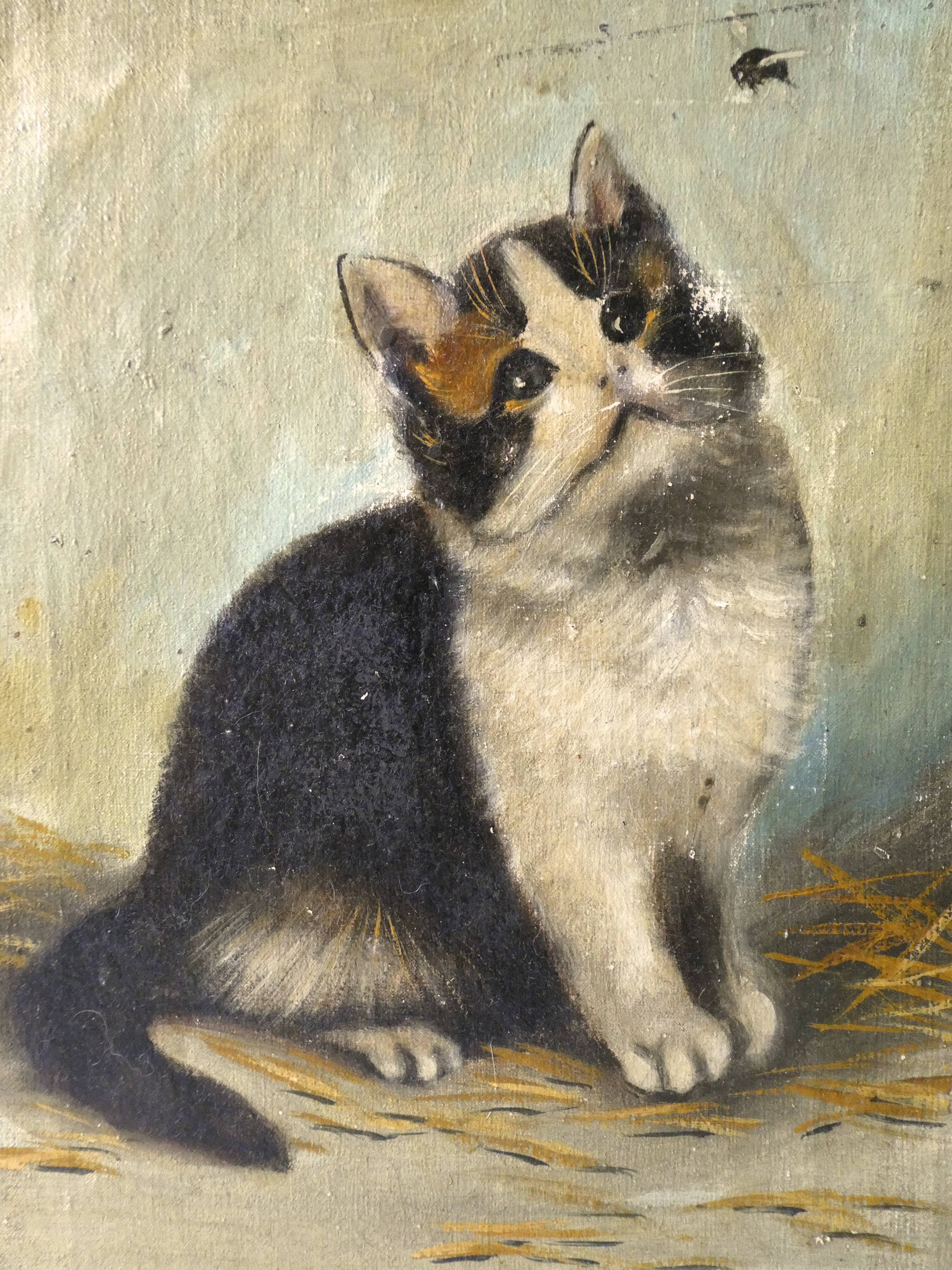 Oil on canvas "cat and fly", 1940s
