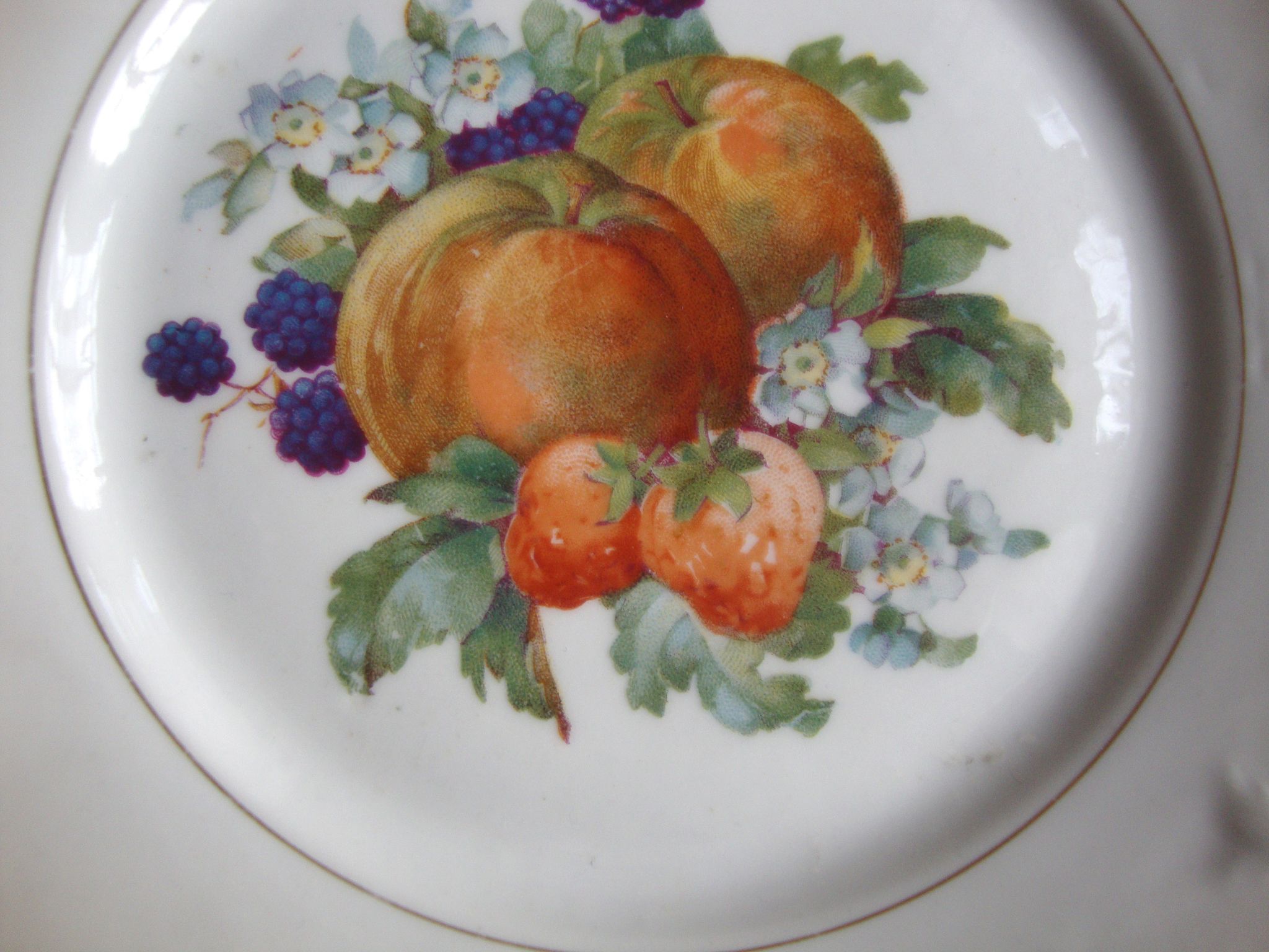 Set of 5 antique Limoges porcelain plates L.J.V with fruit decoration