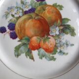 Set of 5 antique Limoges porcelain plates L.J.V with fruit decoration
