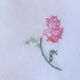 4 embroidered towels