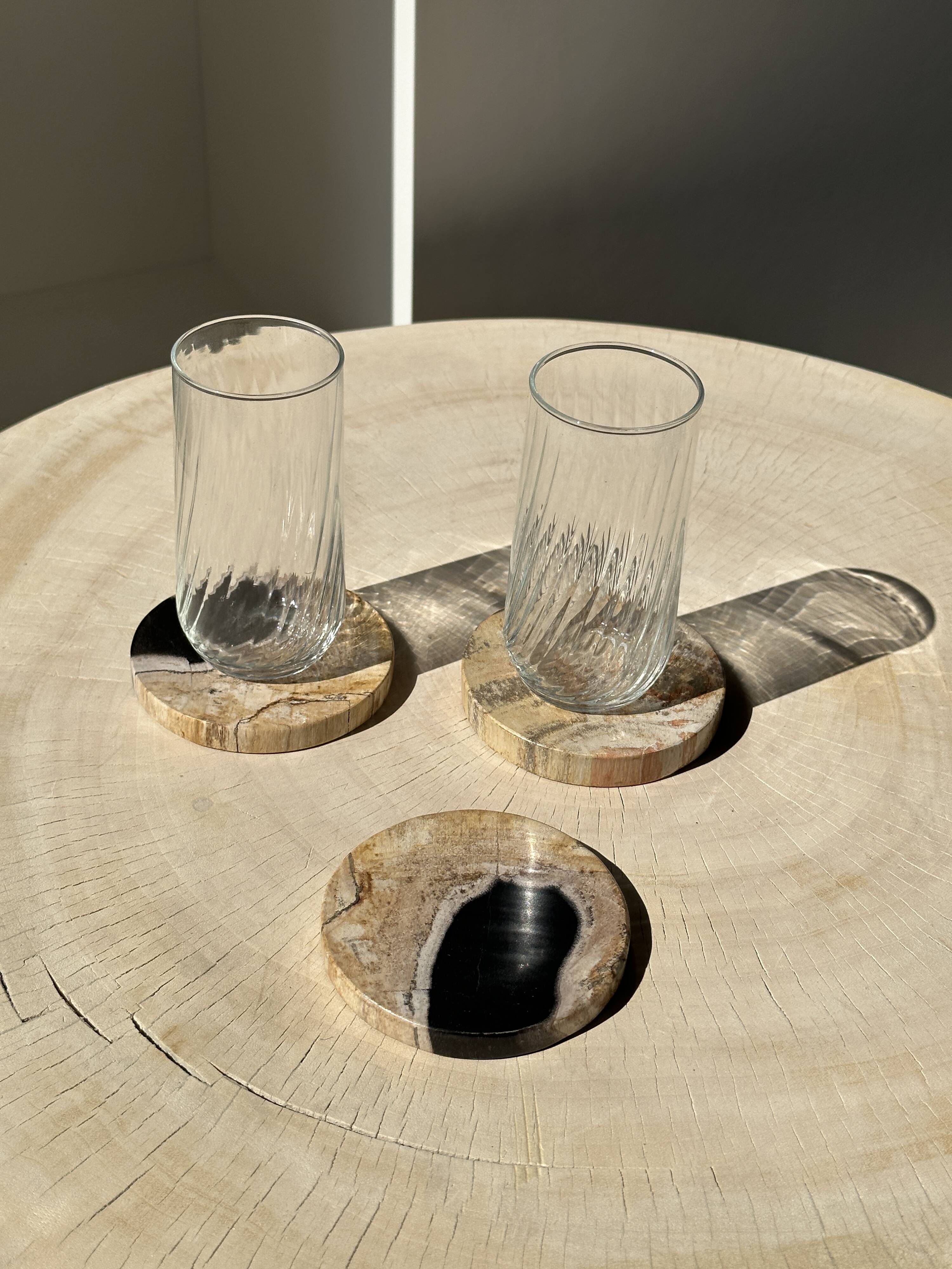 Set of 3 fossilized wood coasters (clear)