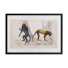 Lithography engraving vintage monkeys - 1850