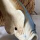 2 vases en barbotine poisson