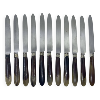 Set of 11 dessert knives with two-tone horn-effect resin handles.