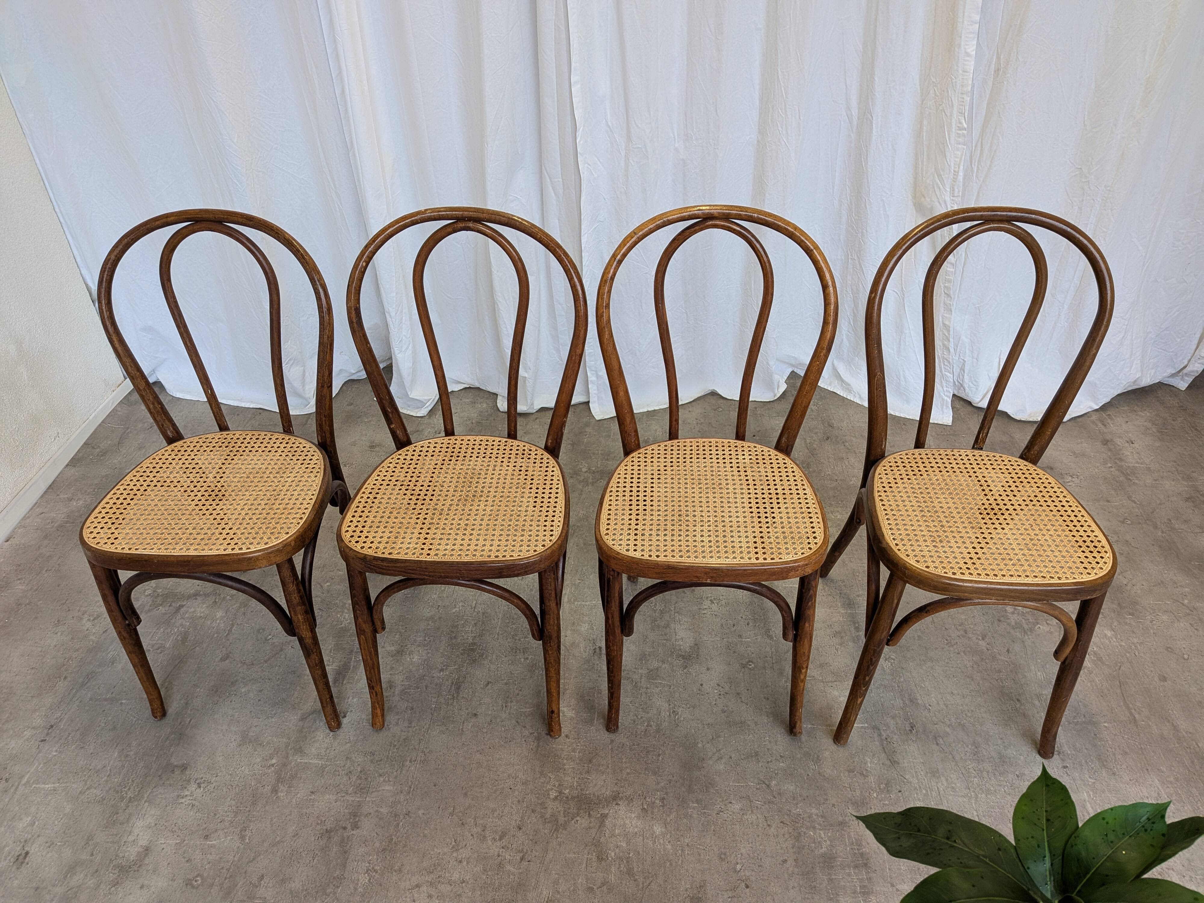 Set of 4 Vintage Thonet Style Dining Chairs: Bentwood Cane Seat, 1970s Bist