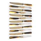 Set of 12 vintage table knives with horn handles and stainless steel blades RENEKA 24.5 cm