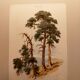 Old lithograph plate 18