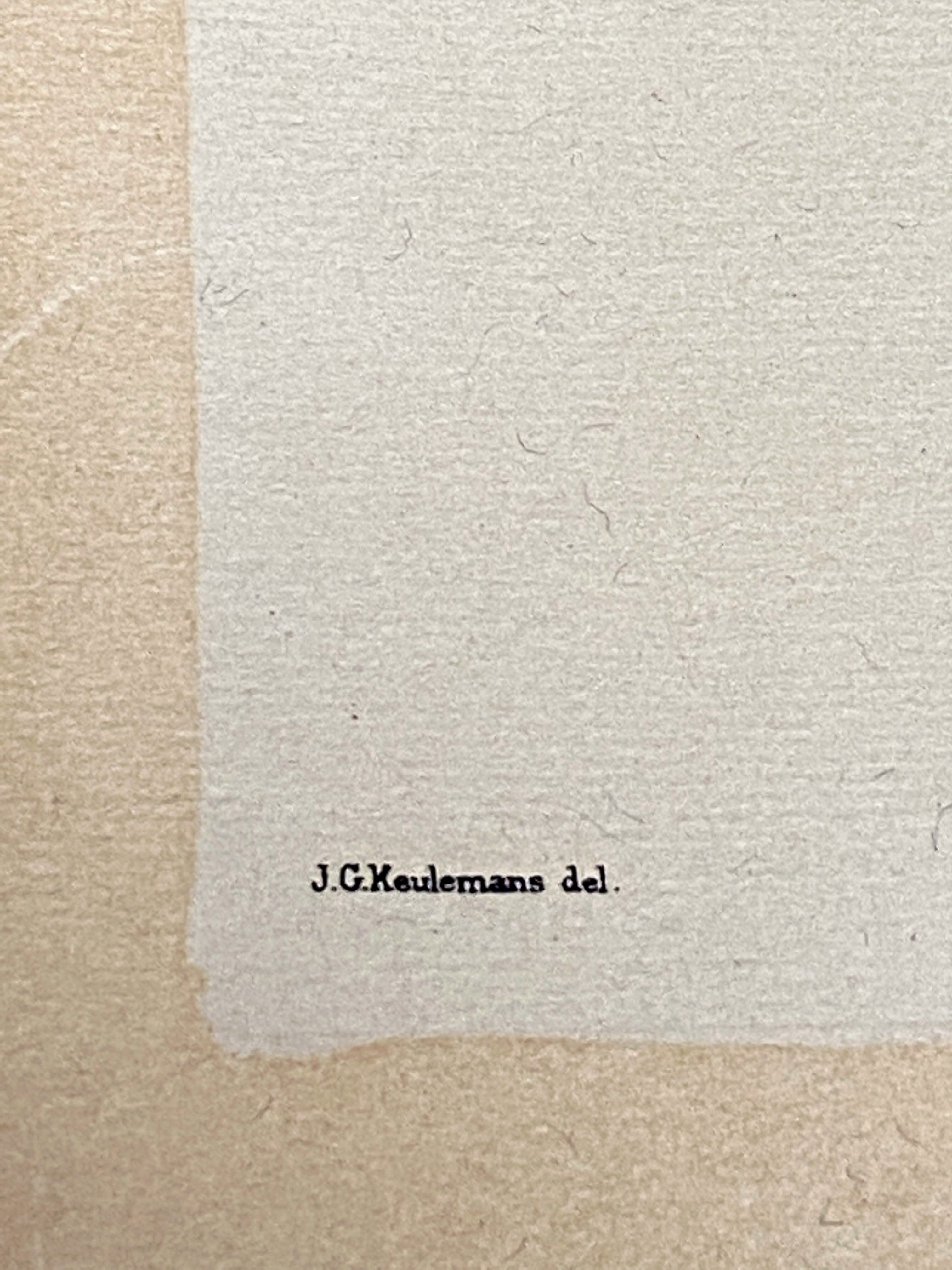 Ornithological plate J.G. Keulemans "Picus Leuconotus"