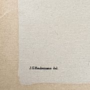 Planche Ornithologique J.G. Keulemans "Picus Leuconotus"