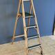 Library ladder 1950