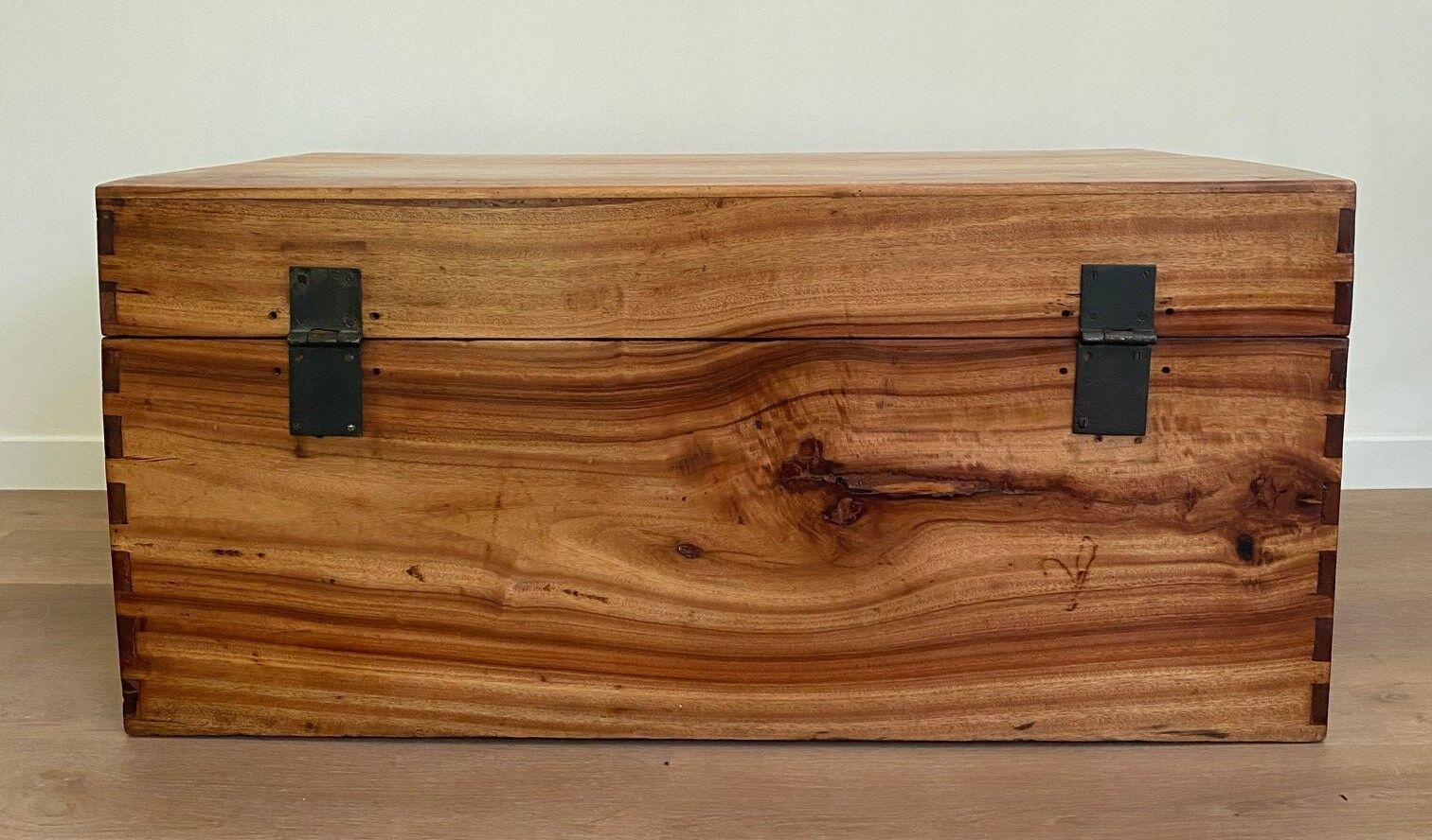 Chinese chest in camphor tree