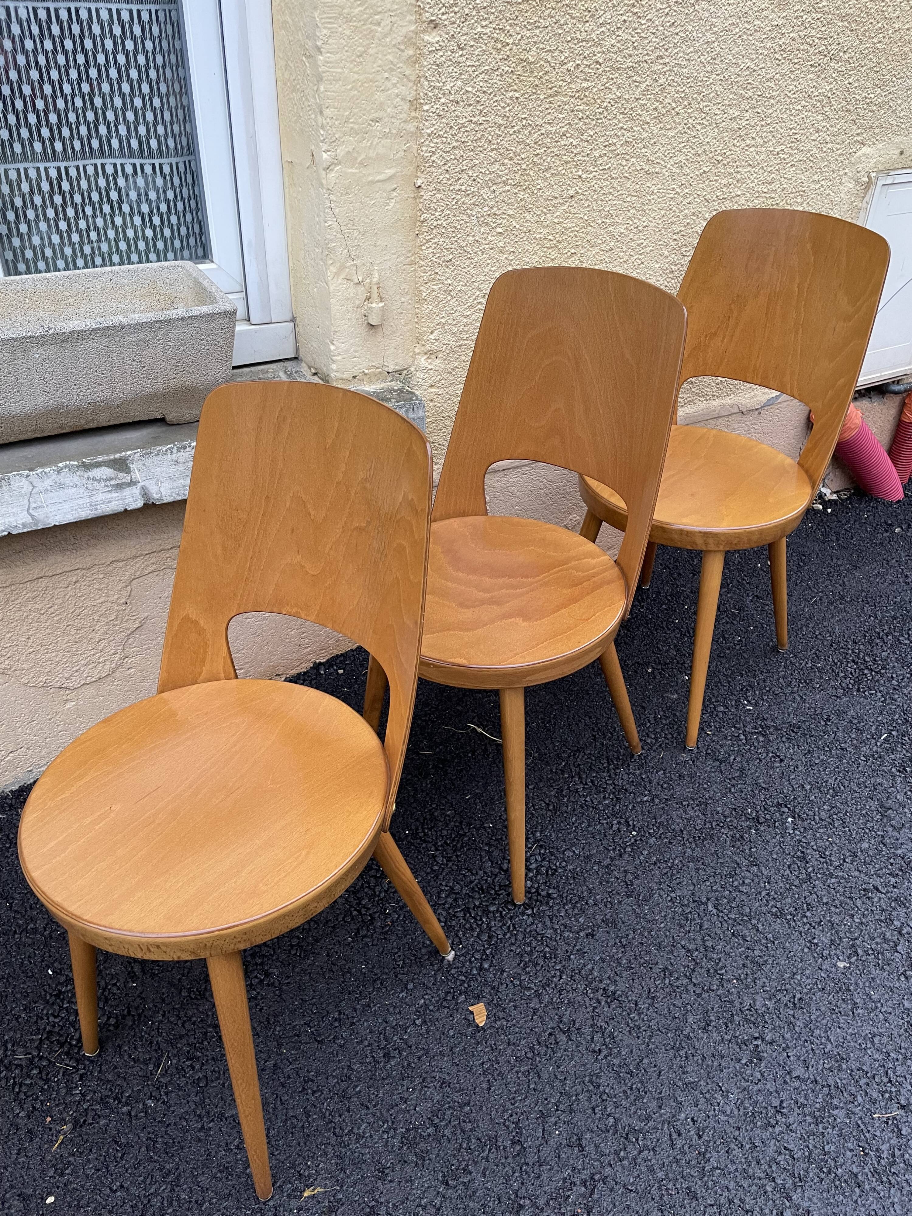 Baumann chairs "mondor"