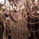 15-arm light-stamped chandelier