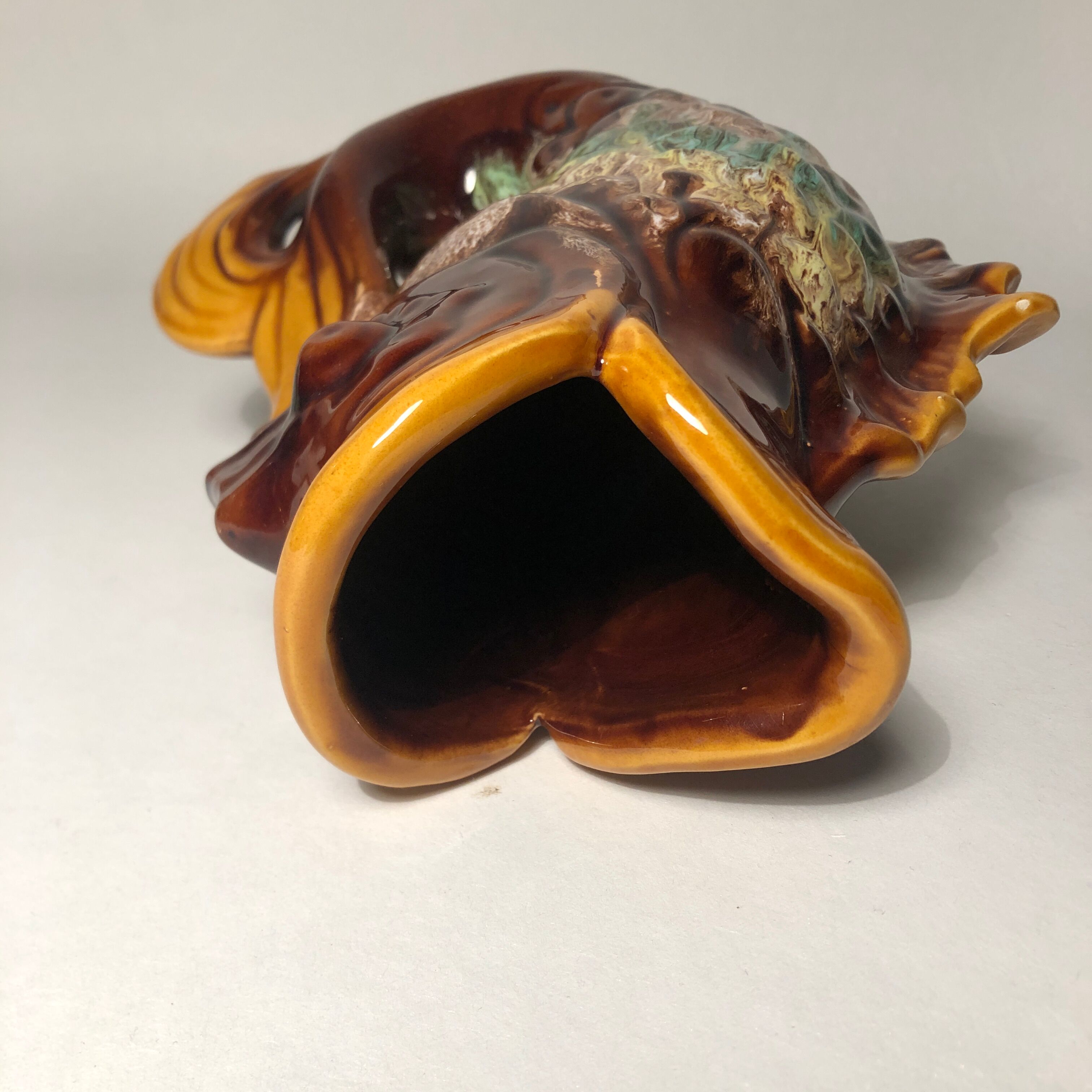 Pitcher fish