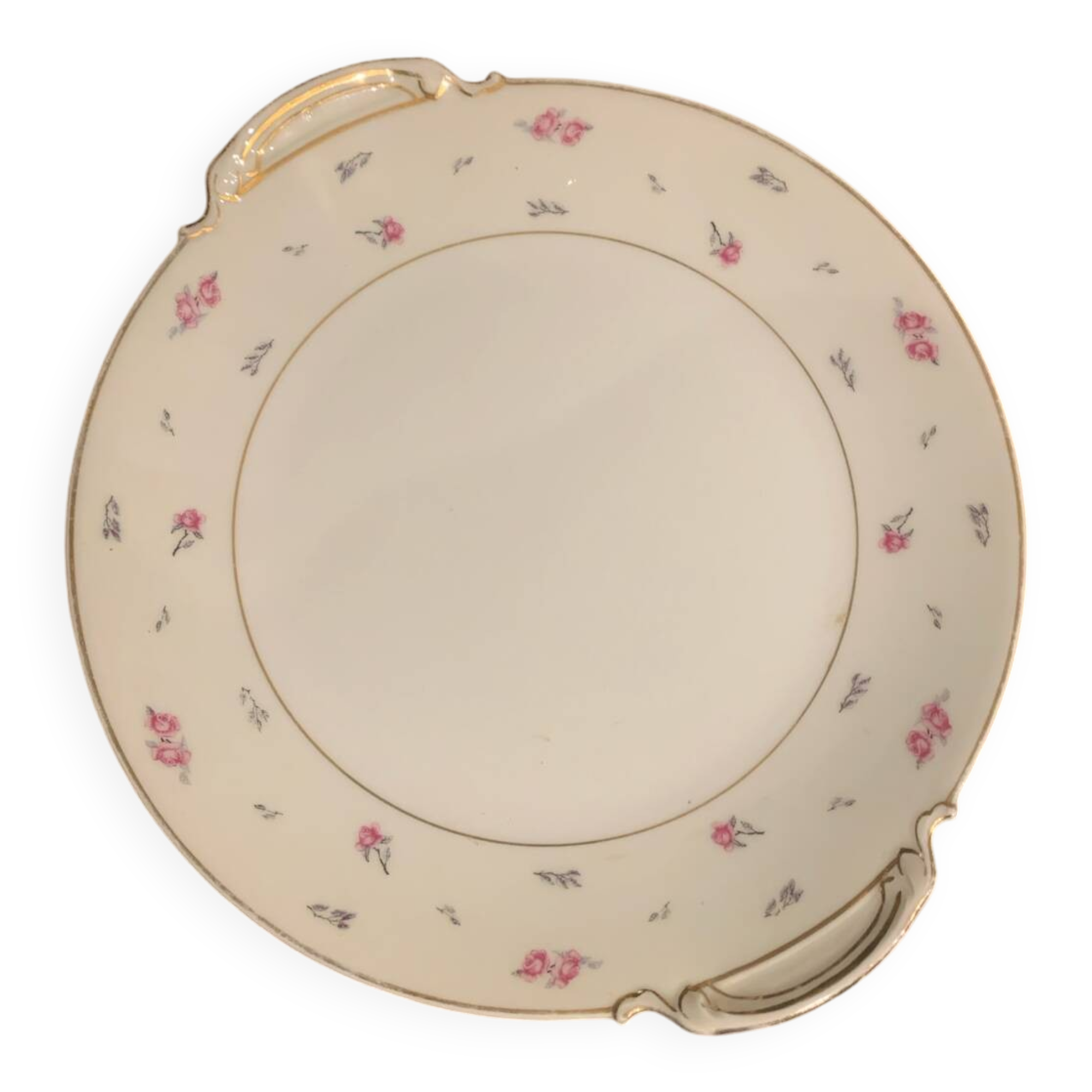 Limoges porcelain plate