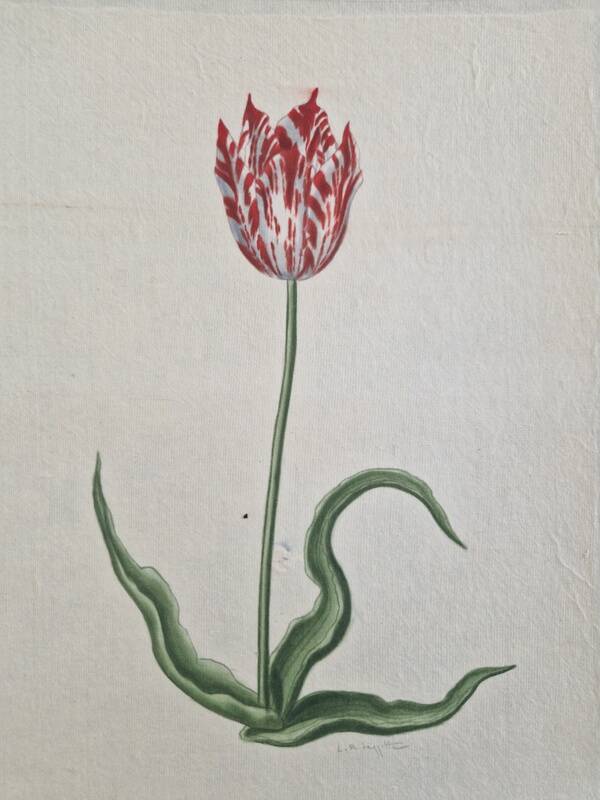 La Roche Laffitte (Born in 1943) - Watercolour drawing on silk - Tulip
