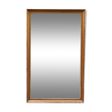 Mirror wood 76 x 171 cm