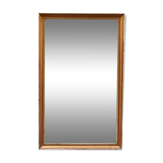 Mirror wood 76 x 171 cm