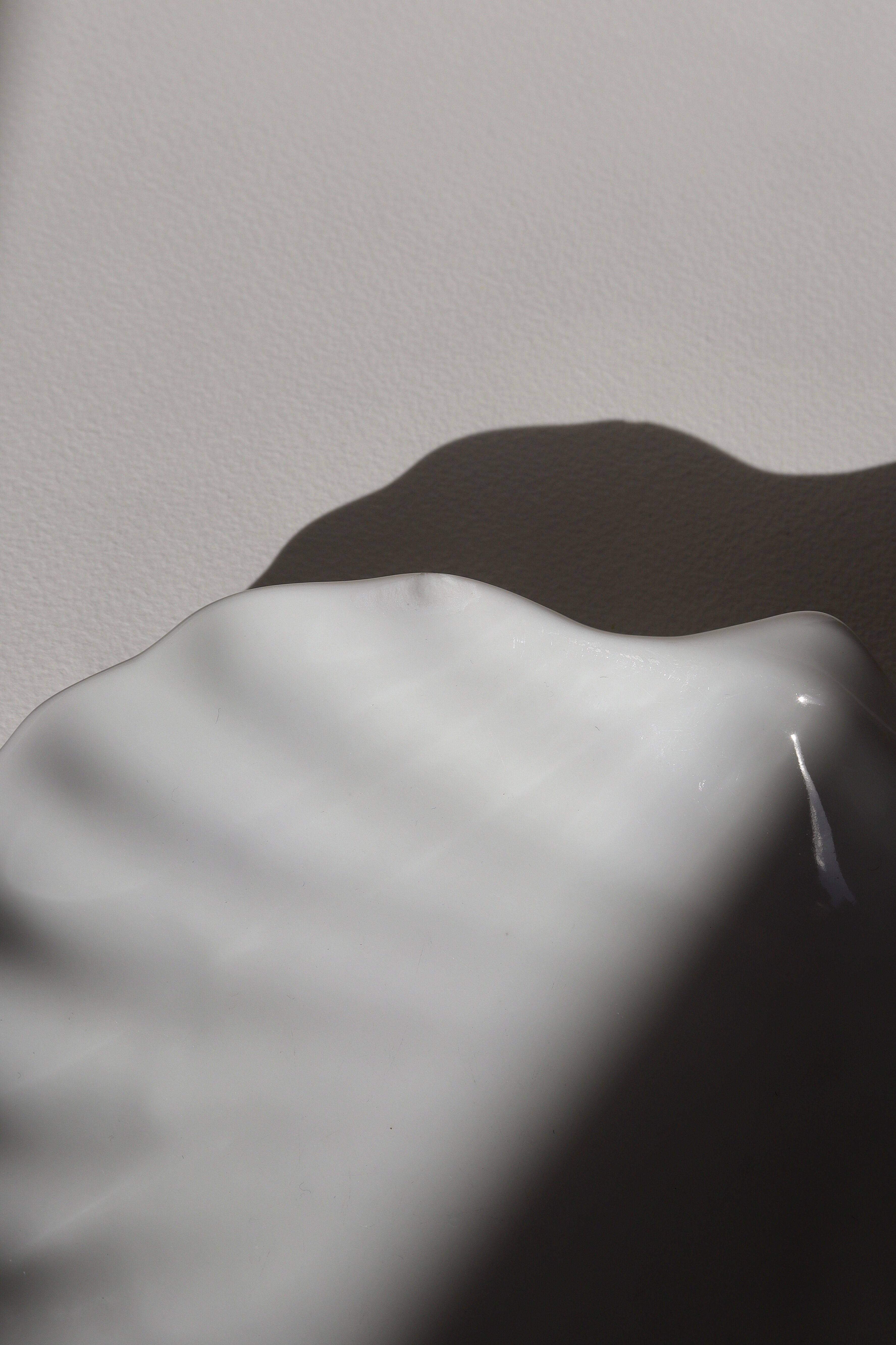 White shell cup