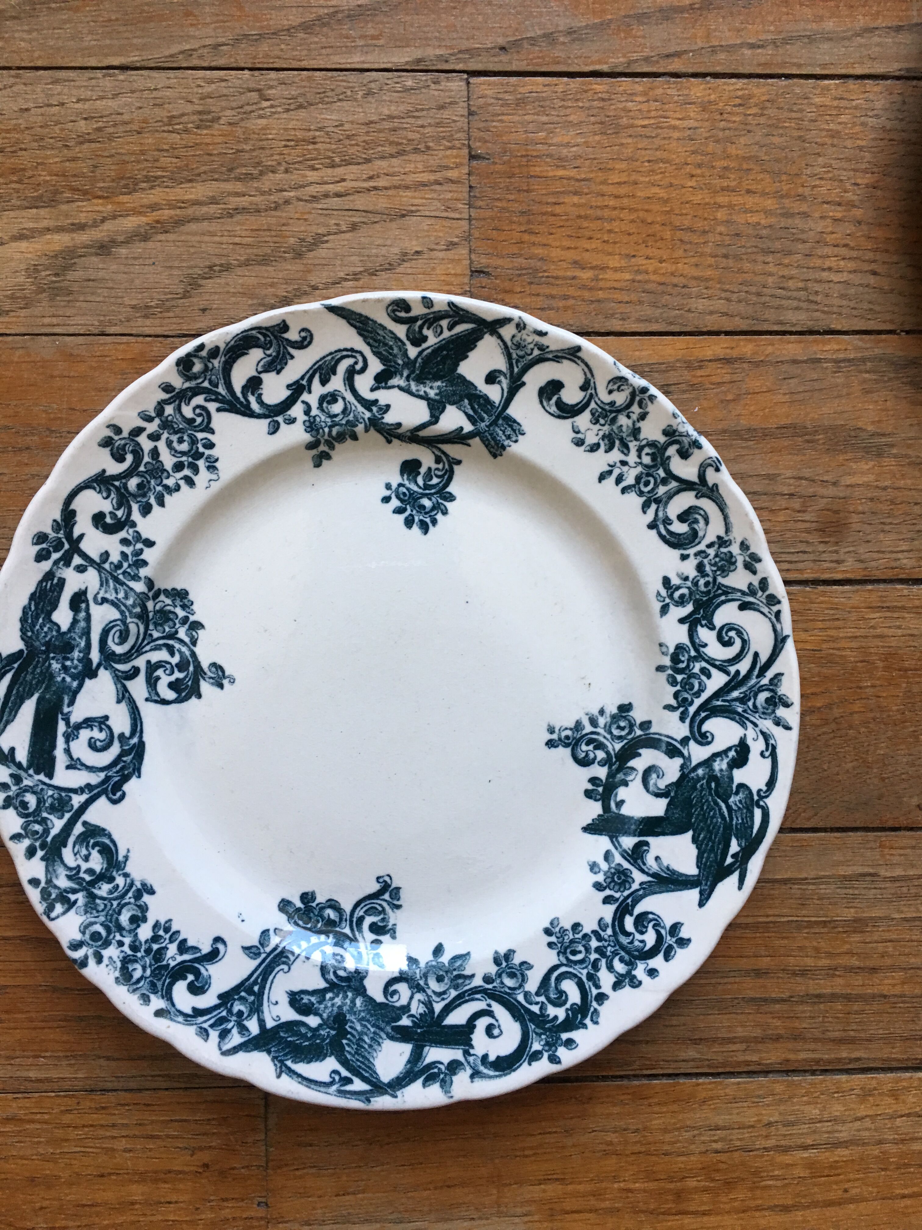 6 beautiful dessert plates Terre de fer Jules old man