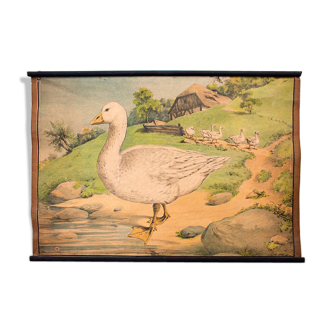 Poster "goose" lithography Karl Jansky, Böhmen 1897