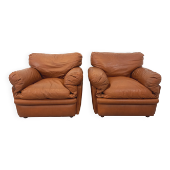 Pair of vintage Coquelicot lounge chairs by Tito Agnoli for Poltrona Frau in leather from the 70s