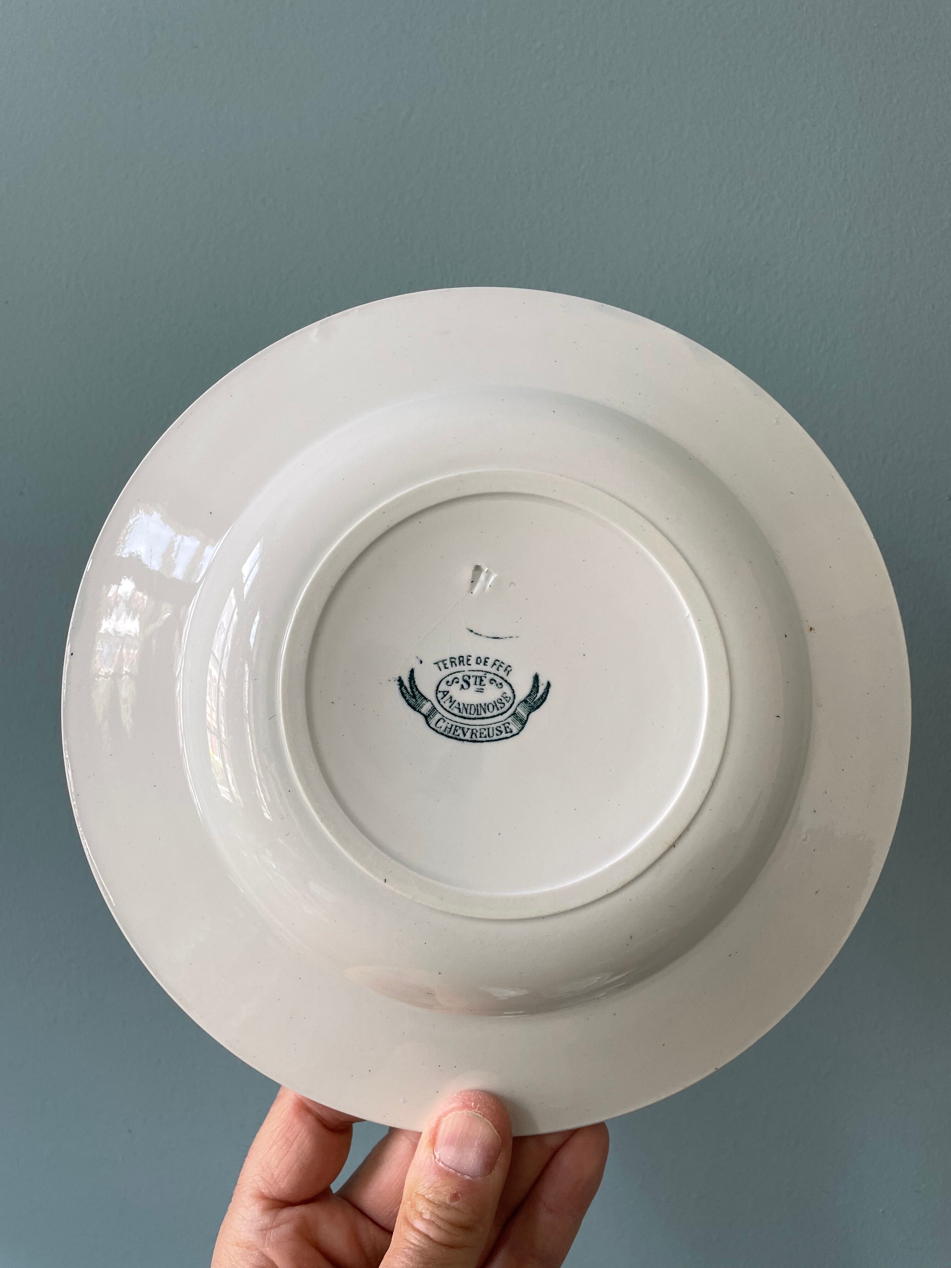 Set of 7 mismatched hollow plates Terre de Fer XIXth