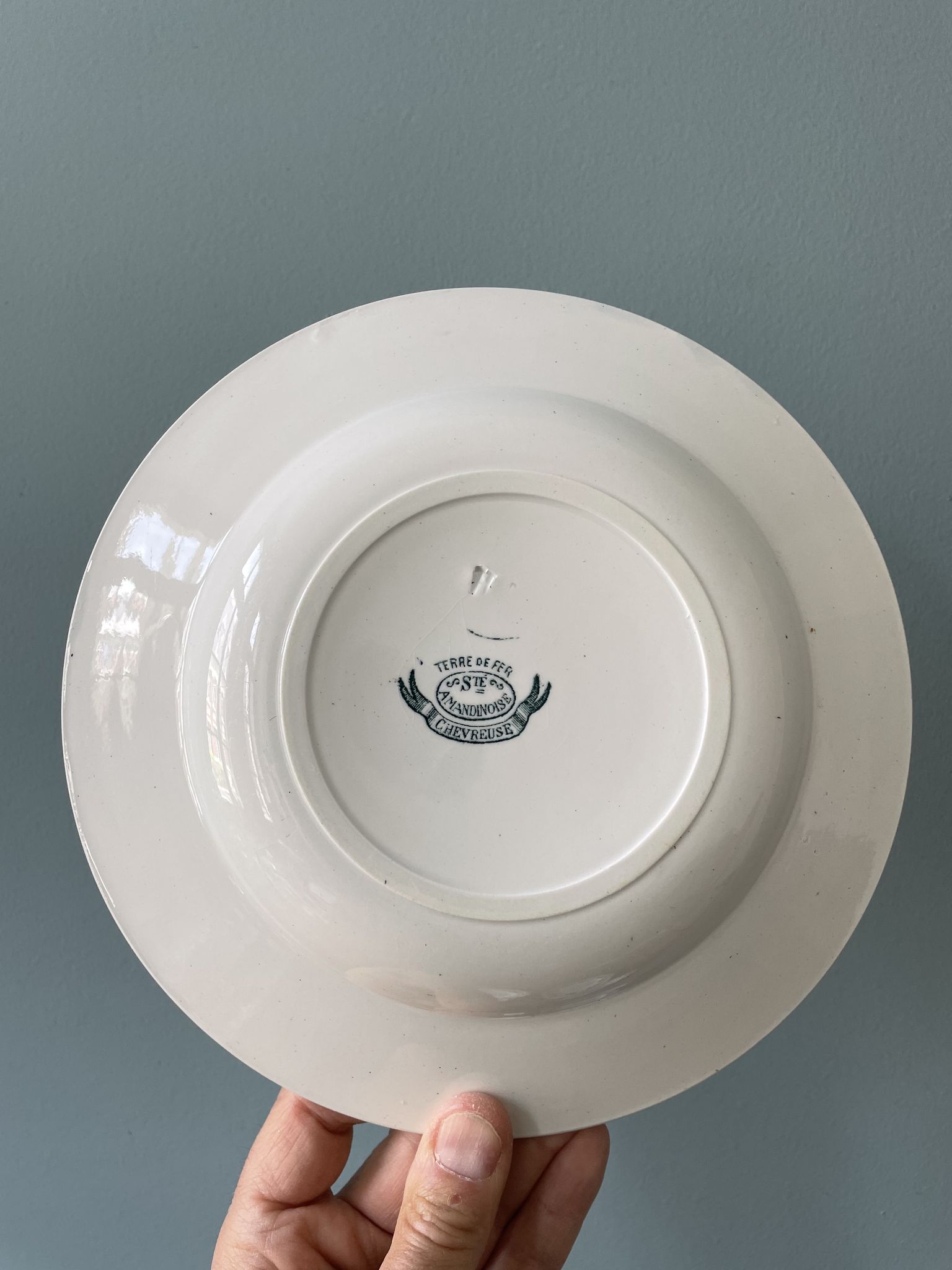 Set of 7 mismatched hollow plates Terre de Fer XIXth