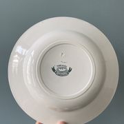 Set of 7 mismatched hollow plates Terre de Fer XIXth
