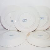 Set of 5 flat plates in Sarreguemines earthenware model Decor 1900, iron earth