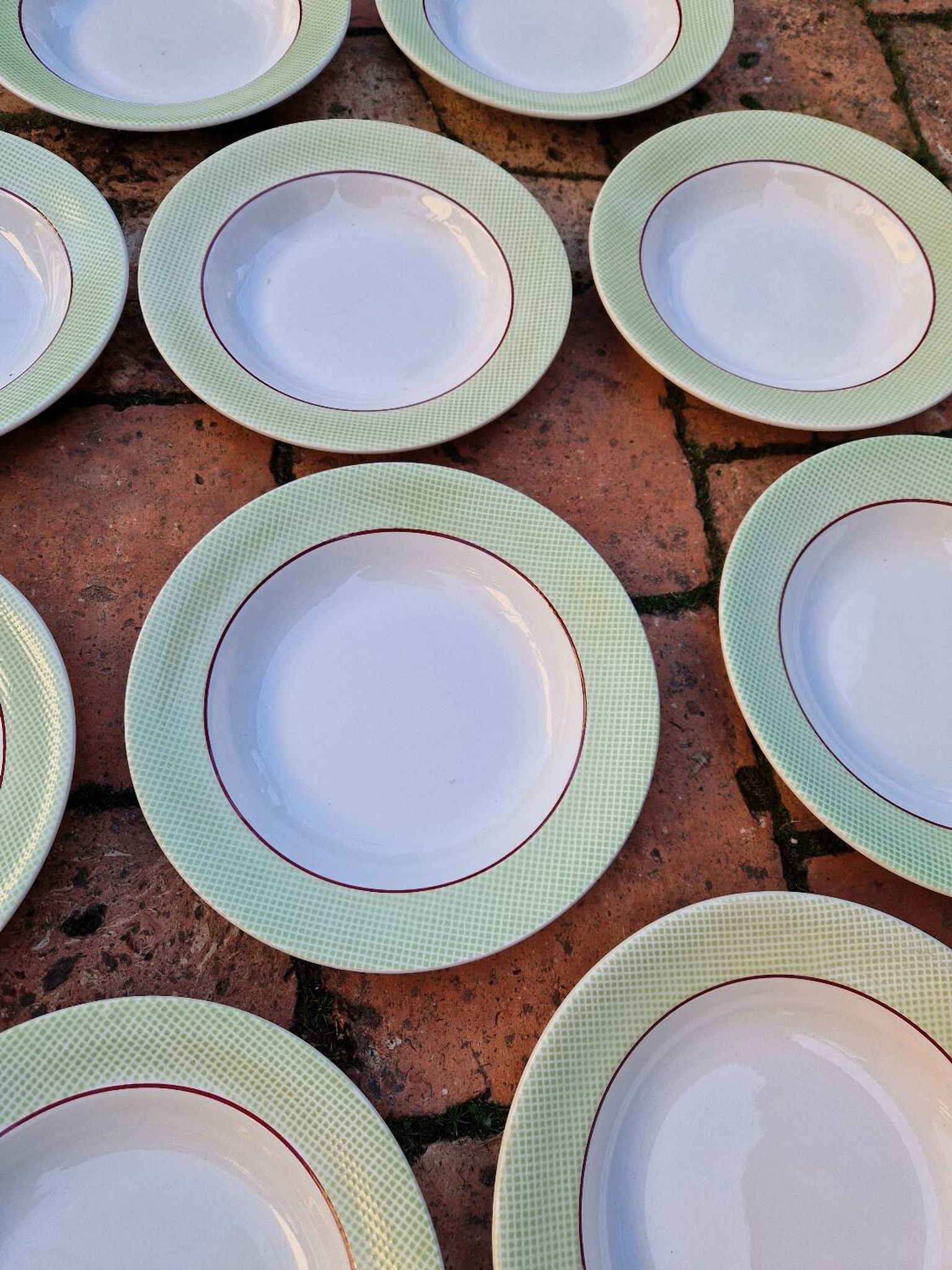 Set of 11 Isoard Pattern Soup Plates, Salins Manufacture