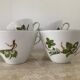 Vintage porcelain herbarium service 6 cups with plates