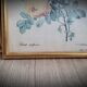 Rose lithograph frame Rosa Sulfura