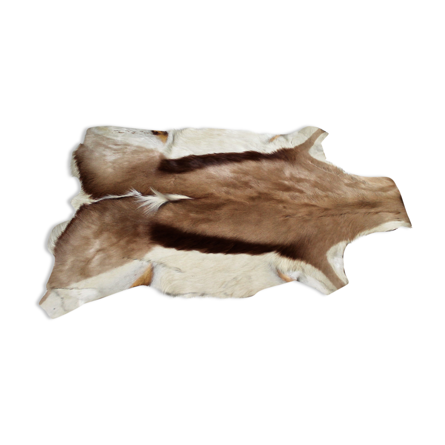 Vintage goat skin