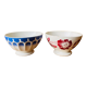 Duo of old bowls Digouin France