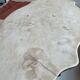 Table violon