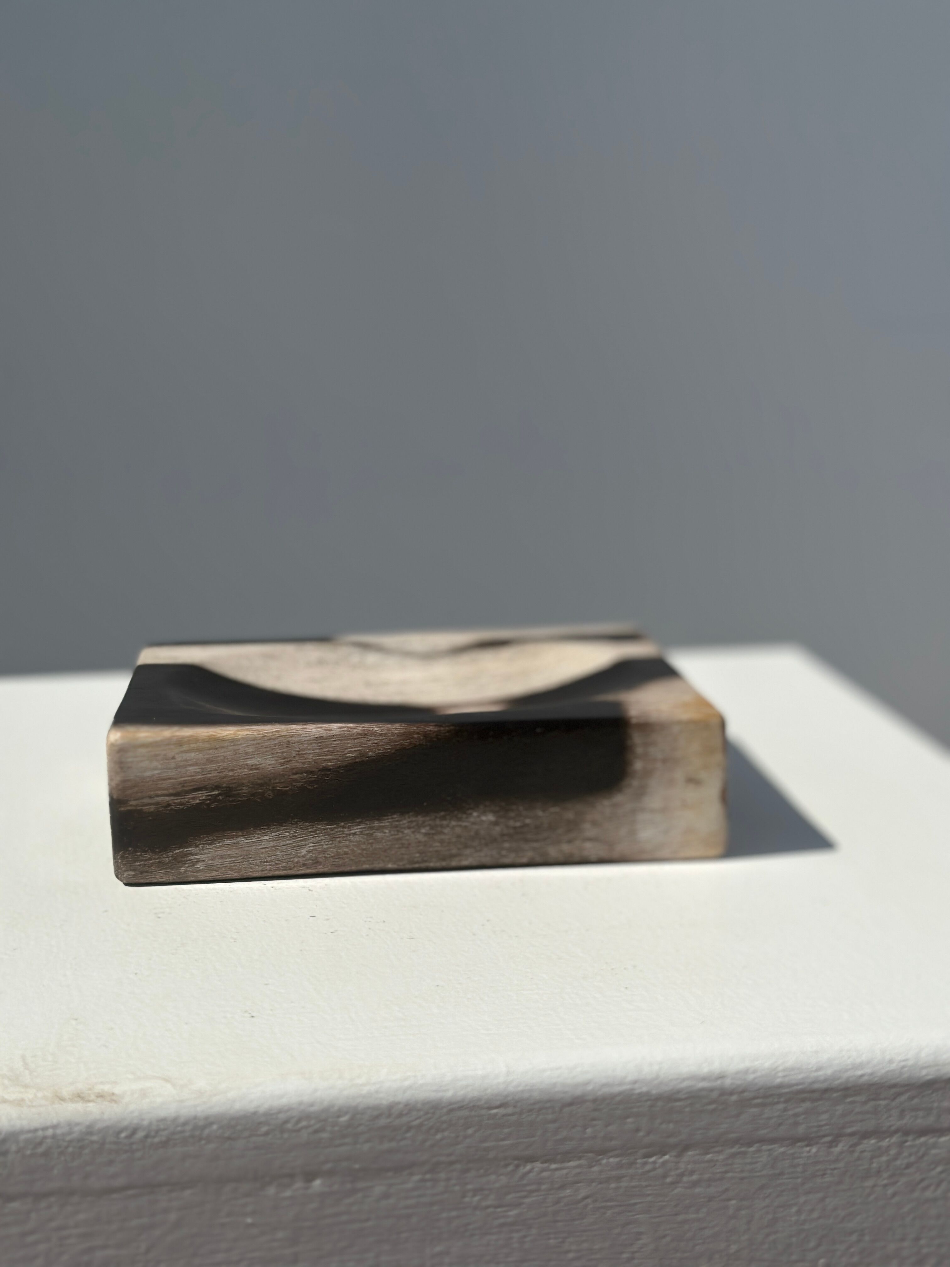 Symmetrical multicolored petrified wood soap dish