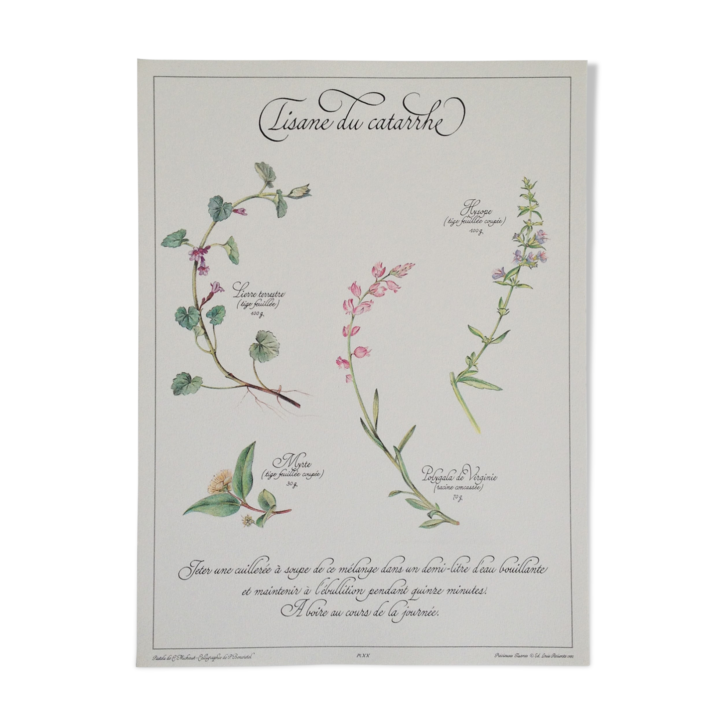 Botanical poster is a tisane