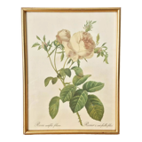 Vintage dreaded rose frame on fabric