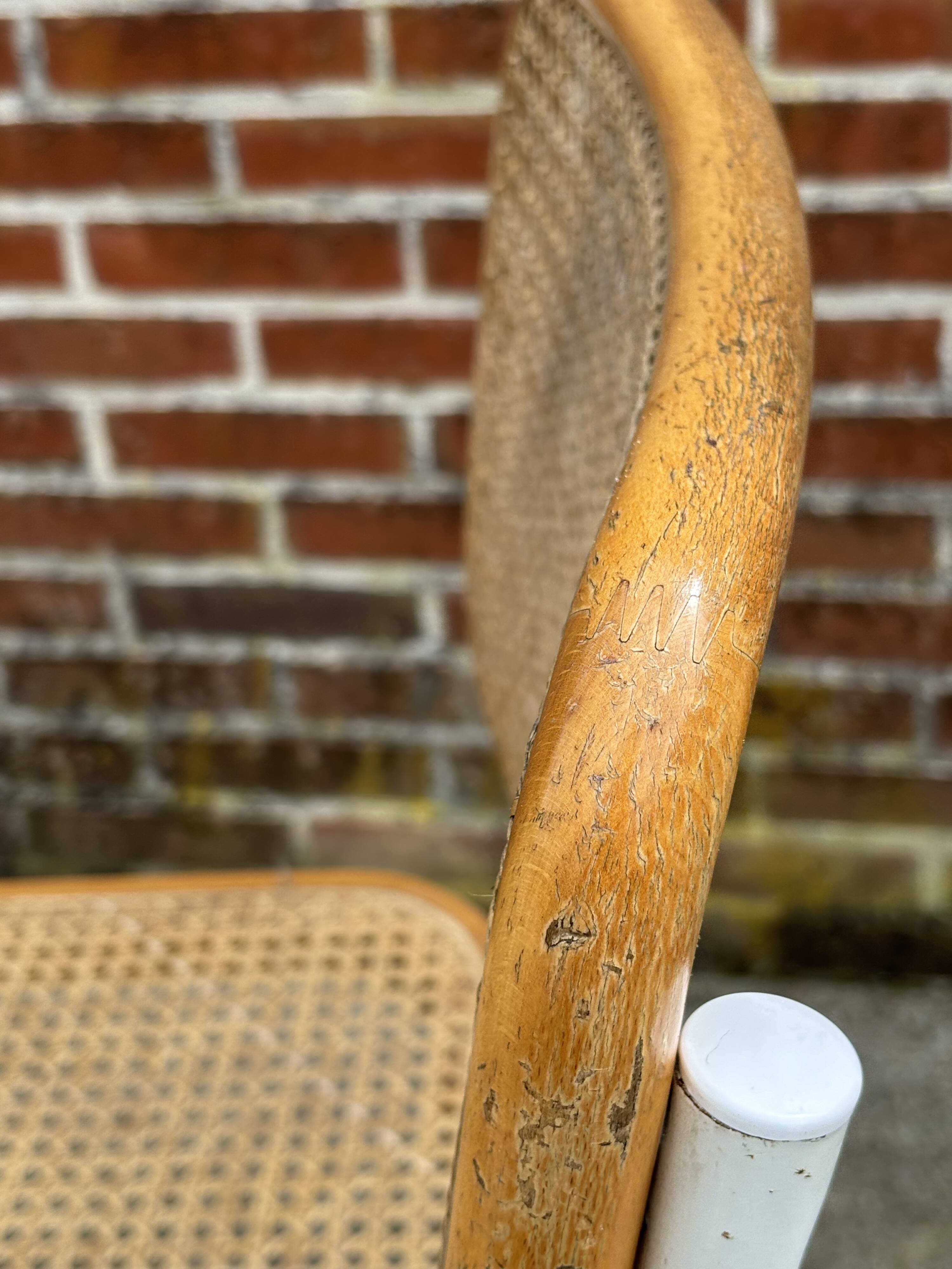 Cesca chair b32 model in white and wood by Marcel Breuer