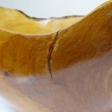 Large olive wood bowl Riviera brutalist craftsmanship circa 1950