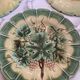 12 assiettes barbotine Sarreguemines décor vignes