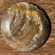 Ashtray, circular dish or plate in grey-orange petrified wood D25.5