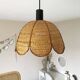 Vintage suspension cane